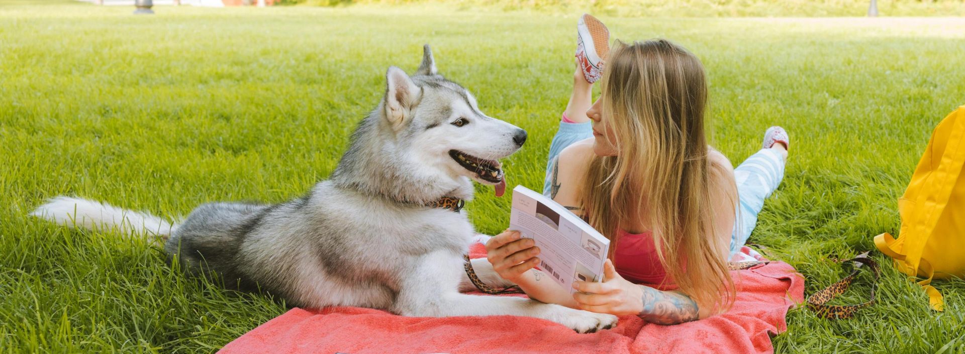 A woman reads with her Siberian husky on a picnic blanket in a sunny park.